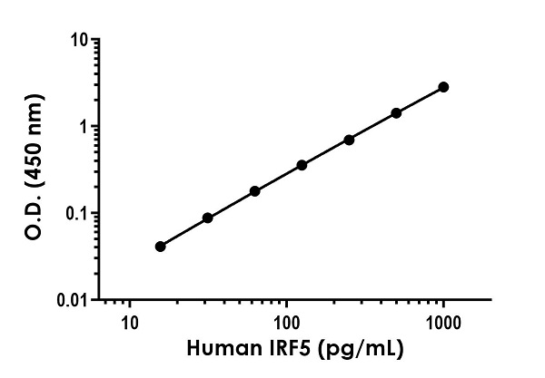Sandwich ELISA - Human IRF5 ELISA Kit (AB282878), expandable thumbnail