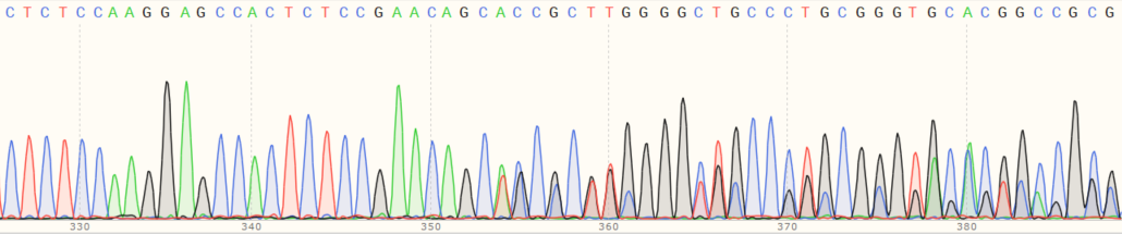 Sanger Sequencing - Human IRF7 knockout A549 cell line (AB267210), expandable thumbnail