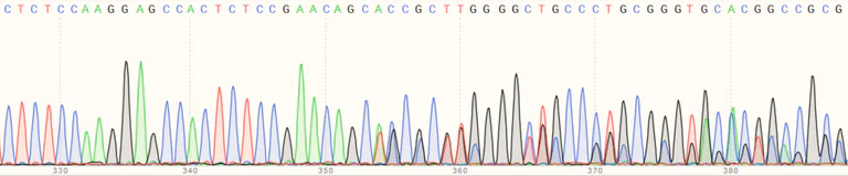 Sanger Sequencing - Human IRF7 knockout A549 cell line (AB267210)