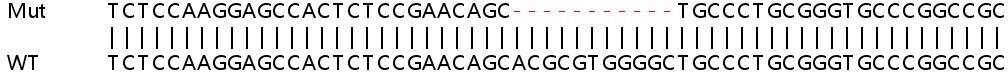 Sanger Sequencing - Human IRF7 knockout A549 cell lysate (AB258927), expandable thumbnail
