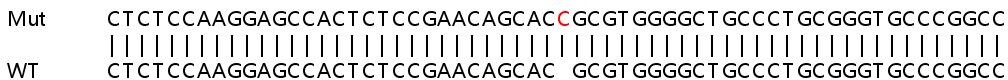 Sanger Sequencing - Human IRF7 knockout A549 cell lysate (AB258927), expandable thumbnail