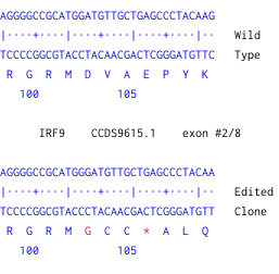 Next Generation Sequencing - Human IRF9 (Interferon regulatory factor 9) knockout MCF7 cell line (AB274943), expandable thumbnail