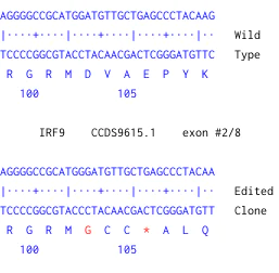 Next Generation Sequencing - Human IRF9 (Interferon regulatory factor 9) knockout MCF7 cell line (AB274943)