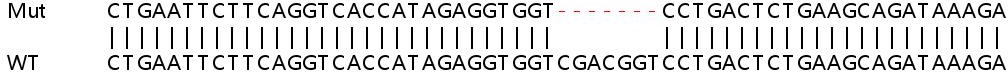 Human ISM1 knockout A549 cell lysate