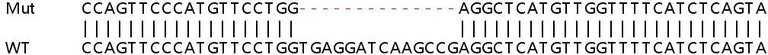 Sanger Sequencing - Human ITGA2 (CD49b) knockout HeLa cell line (AB264819)