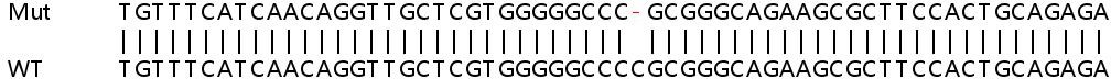 Sanger Sequencing - Human ITGA6 (Integrin alpha 6) knockout HeLa cell lysate (AB256957), expandable thumbnail