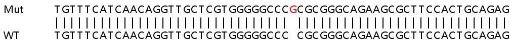 Sanger Sequencing - Human ITGA6 (Integrin alpha 6) knockout HeLa cell lysate (AB256957), expandable thumbnail