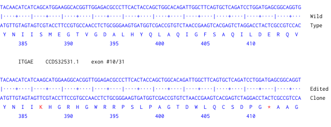 Next Generation Sequencing - Human ITGAE knockout HeLa cell line (AB274915), expandable thumbnail