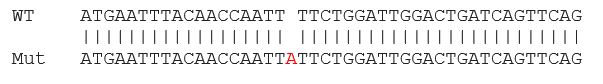 Sanger Sequencing - Human ITGB1 (CD29) knockout HCT116 cell lysate (AB275251), expandable thumbnail