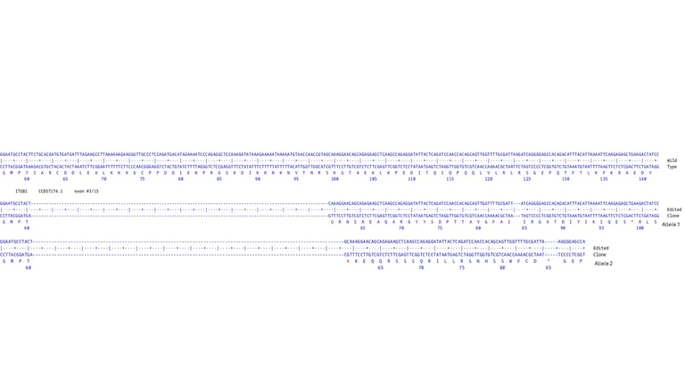Next Generation Sequencing - Human ITGB1 knockout A549 cell line (AB286593)