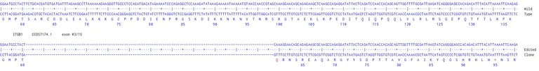 Next Generation Sequencing - Human ITGB1 knockout MCF7 cell line (AB286402)