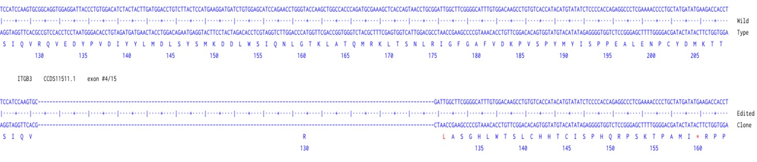 Human ITGB3 knockout A549 cell line