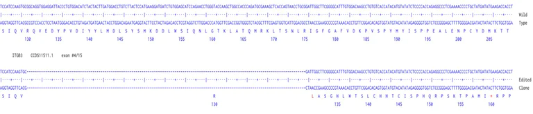 Next Generation Sequencing - Human ITGB3 knockout A549 cell line (AB301017)