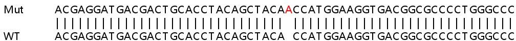 Sanger Sequencing - Human ITGB4 (Integrin beta 4) knockout HeLa cell line (AB261778), expandable thumbnail