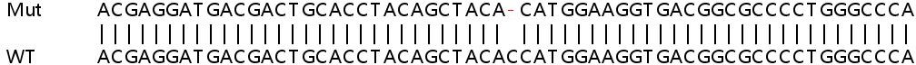 Sanger Sequencing - Human ITGB4 (Integrin beta 4) knockout HeLa cell line (AB261778), expandable thumbnail