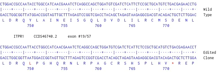 Next Generation Sequencing - Human ITPR1 knockout U-87 MG cell line (AB306712)