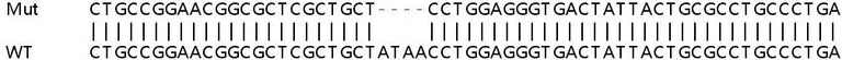 Sanger Sequencing - Human JAG2 (Jagged 2) knockout HeLa cell lysate (AB257487)