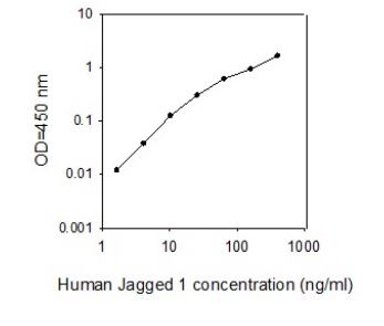 Sandwich ELISA - Human Jagged1 ELISA Kit (AB267651), expandable thumbnail