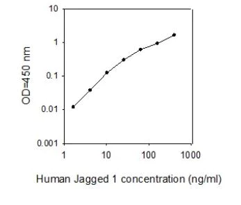 Sandwich ELISA - Human Jagged1 ELISA Kit (AB267651)