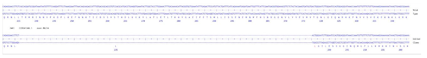 Next Generation Sequencing - Human JAK1 knockout HCT116 cell line (AB286460), expandable thumbnail