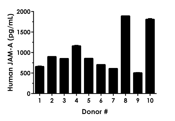 Sandwich ELISA - Human JAM-A ELISA Kit (Junctional Adhesion Molecule) (AB277079)