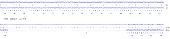 Human JARID2 knockout A549 cell line