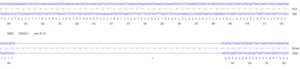 Next Generation Sequencing - Human JARID2 knockout A549 cell line (AB288852)