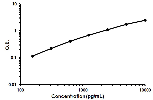 Sandwich ELISA - Human Kallikrein 8 ELISA Kit (AB213804)