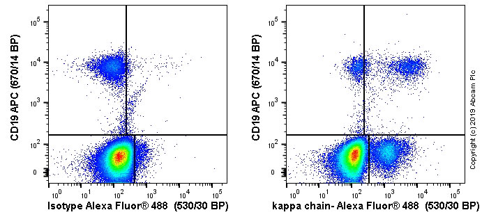 Flow Cytometry - Anti-Human Kappa Chain antibody [TB-28] - BSA and Azide free (AB235128)