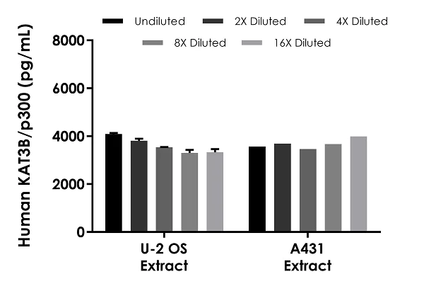 Sandwich ELISA - Human KAT3B / p300 ELISA Kit (AB282866)