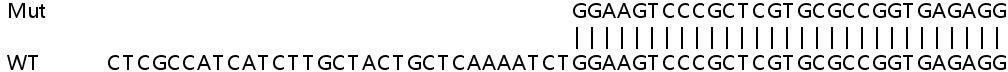 Sanger Sequencing - Human KDELR1 (KDEL Receptor) knockout HEK-293T cell lysate (AB257492)