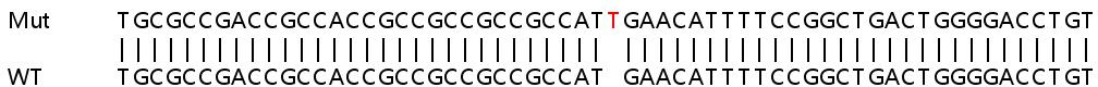 Sanger Sequencing - Human KDELR2 (ELP-1) knockout HEK-293T cell line (AB266511), expandable thumbnail