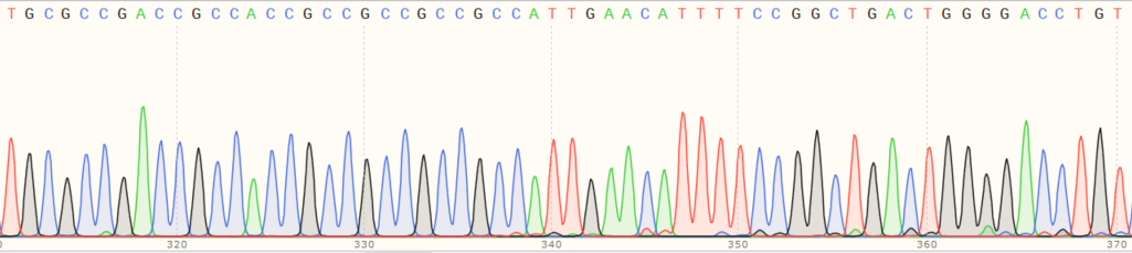 Sanger Sequencing - Human KDELR2 (ELP-1) knockout HEK-293T cell line (AB266511), expandable thumbnail