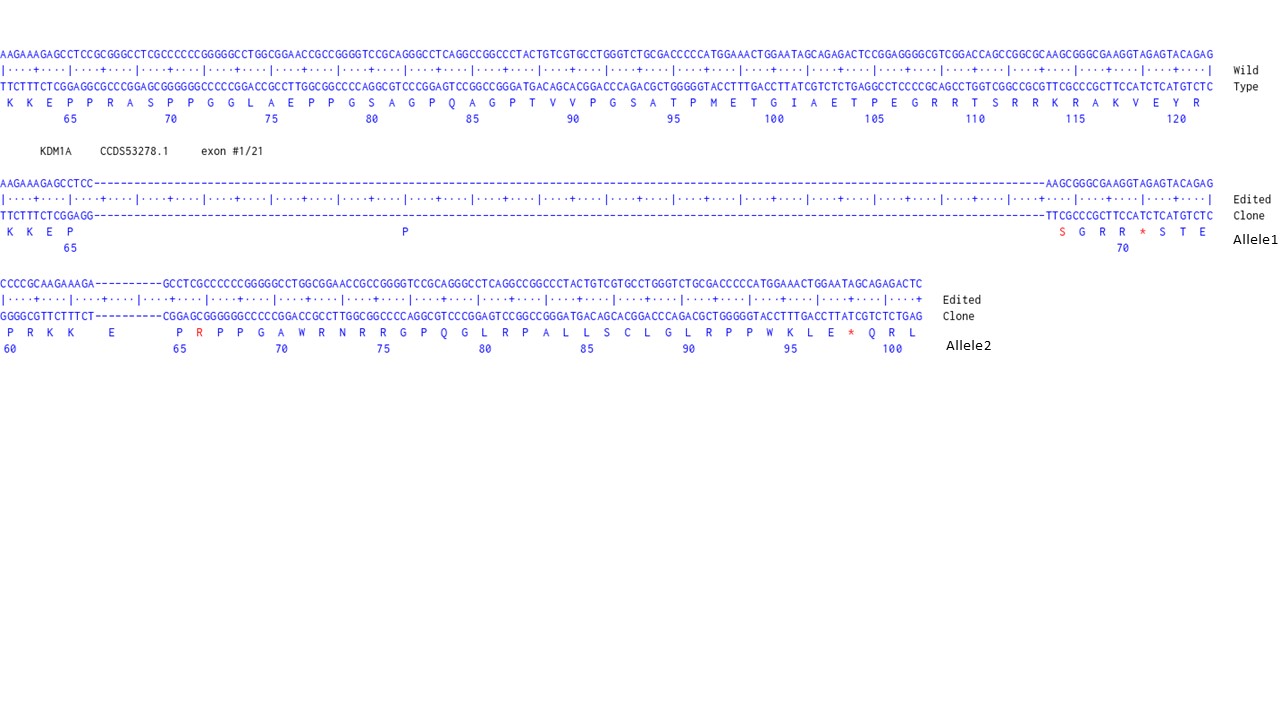 Next Generation Sequencing - Human KDM1A knockout HCT116 cell line (AB287583), expandable thumbnail