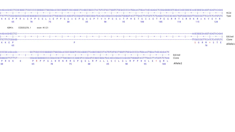 Next Generation Sequencing - Human KDM1A knockout HCT116 cell line (AB287583)