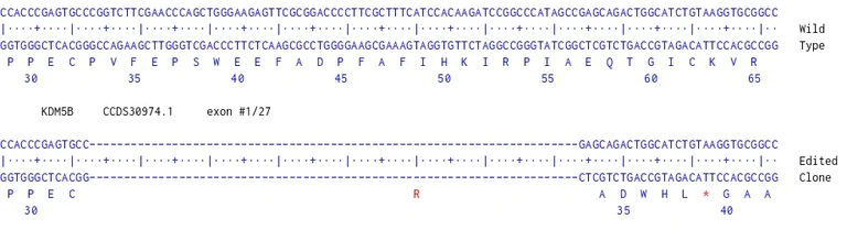 Next Generation Sequencing - Human KDM5B knockout HCT116 cell line (AB287592)