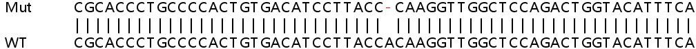 Sanger Sequencing - Human KDM5C (Jarid1C / SMCX) knockout HEK-293T cell lysate (AB257494), expandable thumbnail