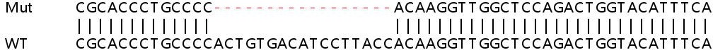 Sanger Sequencing - Human KDM5C (Jarid1C / SMCX) knockout HEK-293T cell lysate (AB257495), expandable thumbnail