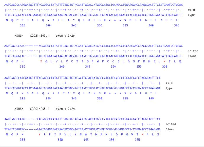 Next Generation Sequencing - Human KDM6A knockout A549 cell line (AB287596)