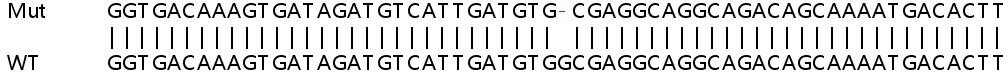 Human KDM7A (JHDM1D) knockout A549 cell lysate