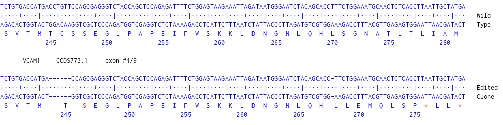 Next Generation Sequencing - Human KIF5A knockout U-87 MG cell line (AB306717), expandable thumbnail