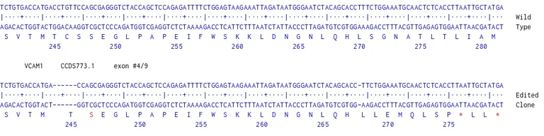Next Generation Sequencing - Human KIF5A knockout U-87 MG cell line (AB306717)