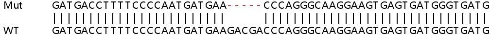 Sanger Sequencing - Human KLC1 knockout HeLa cell line (AB265284), expandable thumbnail