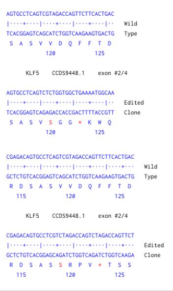 Next Generation Sequencing - Human KLF5 knockout HCT116 cell line (AB301030), expandable thumbnail