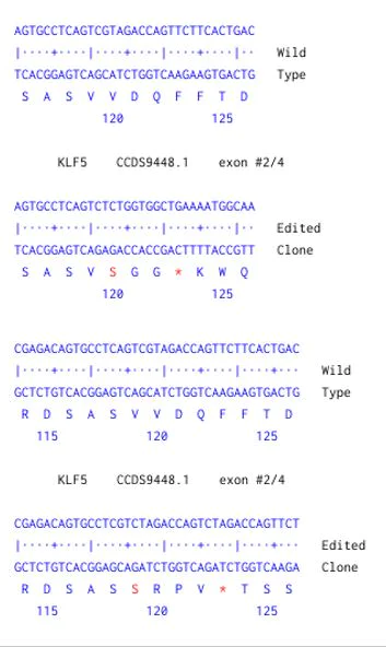 Next Generation Sequencing - Human KLF5 knockout HCT116 cell line (AB301030)