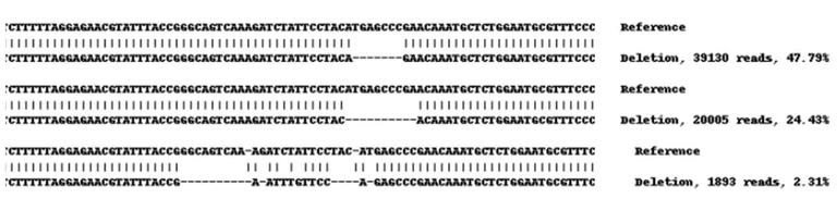 Next Generation Sequencing - Human KMT5A knockout HEK-293 cell lysate (AB261667)