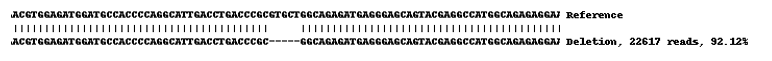 Next Generation Sequencing - Human KRT13 knockout A-431 cell lysate (AB269647), expandable thumbnail