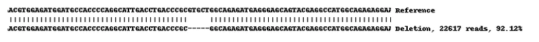 Next Generation Sequencing - Human KRT13 knockout A-431 cell lysate (AB269647)