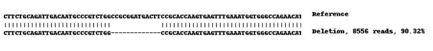 Next Generation Sequencing - Human KRT14 (Cytokeratin 14) knockout A-431 cell lysate (AB261706), expandable thumbnail