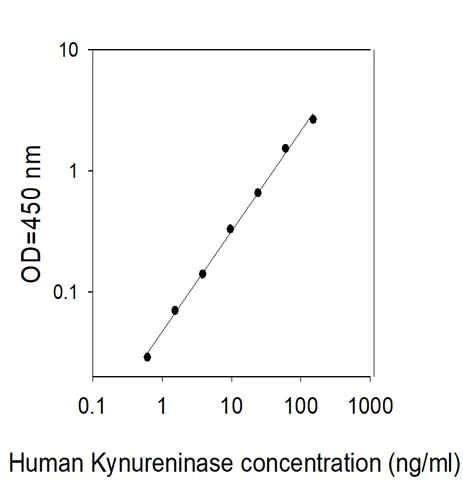 Sandwich ELISA - Human Kynureninase ELISA Kit (AB313980)